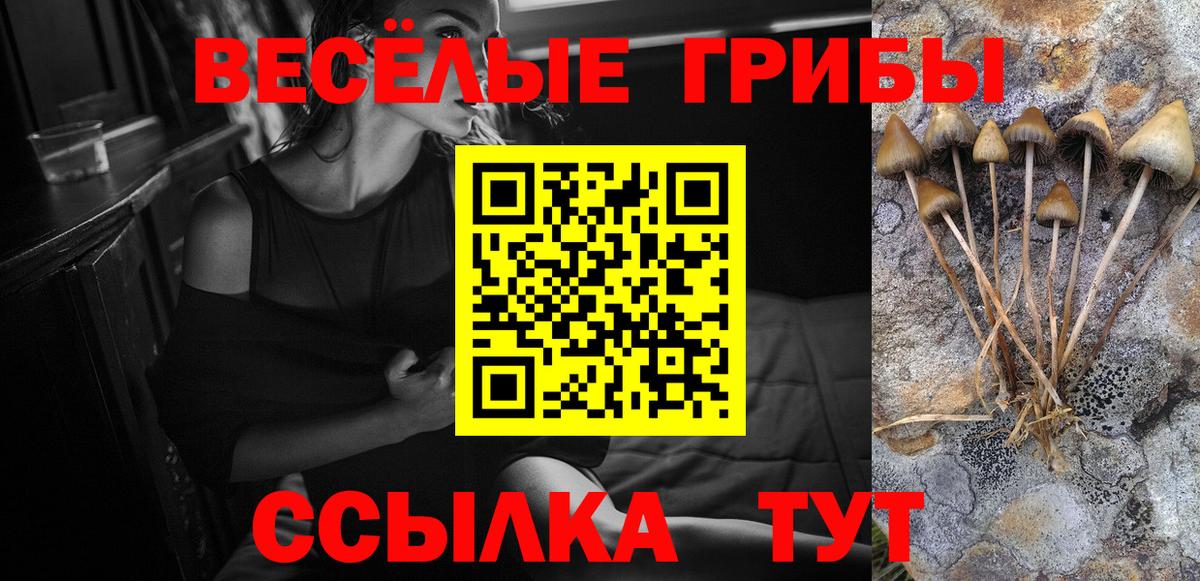 Лесной  Псилоцибиновые грибы MAGIC MUSHROOMS  Вход с VPN 